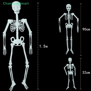 &lt;Chantsingheart&gt; โครงกระดูกมนุษย์ 32 90 150 ซม. สําหรับตกแต่งปาร์ตี้ฮาโลวีน