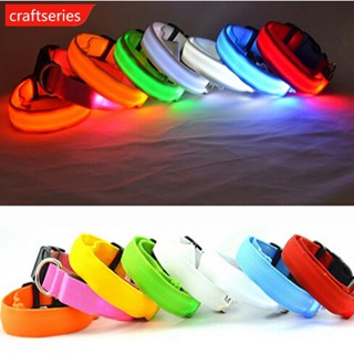 Craftseries ปลอกคอสัตว์เลี้ยง LED เรืองแสง ป้องกันการสูญหาย พร้อมแบตเตอรี่ สําหรับสุนัข แมว ขนาดเล็ก W3X8