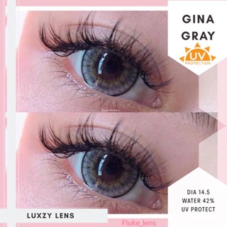 คอนแทคเลนส์(ขนาดโต) 🌟 Gina 🌟 gray / brown แบรนด์ Luxzylens นิ่มมากก ใส่สบายตา เลนส์กรองแสง ตาโต นำเข้าจากเกาหลี🇰🇷