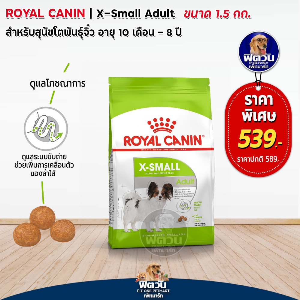 royal-canin-x-small-adult-สุนัขพันธุ์ทอย-ขนาด-1-5-กก