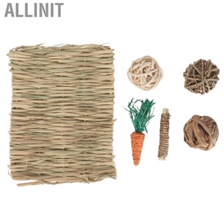 Allinit Small  Toys Hamster Chew Toy Set Hand Woven  Grinding Toxic Free Pet Grass Mat Ball for Guinea Pig Rabbit Parrot