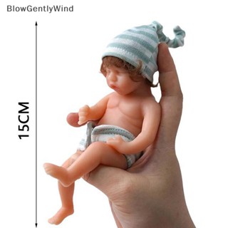 Blowgentlywind ตุ๊กตาเด็กทารกแรกเกิด ซิลิโคน ขนาดเล็ก 15 ซม. BGW