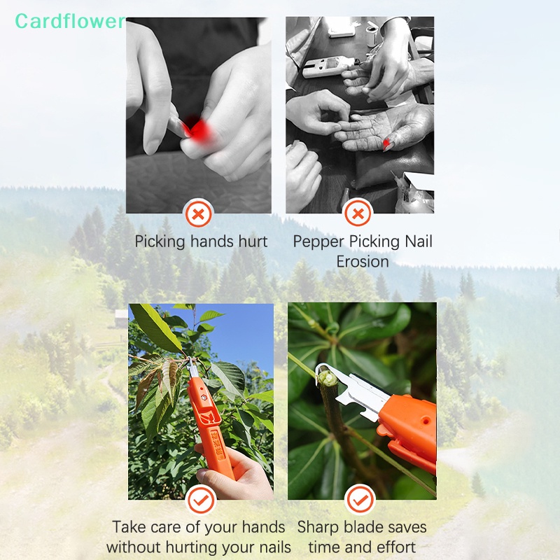 lt-cardflower-gt-กรรไกรตัดแต่งกิ่งไม้-ผัก-ผลไม้-แบบมืออาชีพ-สําหรับสวน-ฟาร์ม-สวน-ลดราคา