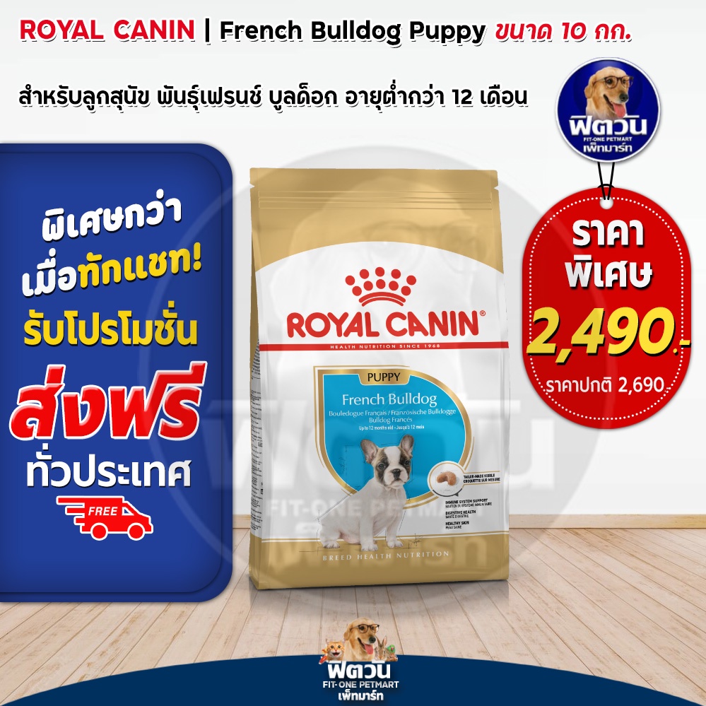 royal-canin-french-bulldog-puppy-ลูกสุนัข-10กก