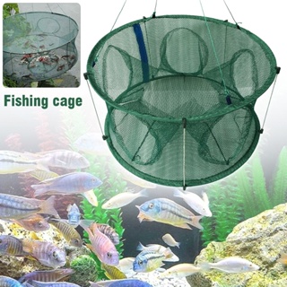 cage ตกปลา ราคาพิเศษ  ซื้อออนไลน์ที่ Shopee ส่งฟรี*ทั่วไทย! ตกปลา  กีฬาและกิจกรรมกลางแจ้ง