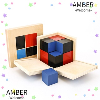 Amber ของเล่นคณิตศาสตร์ เพื่อการเรียนรู้เด็ก