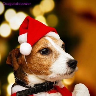 หมวกซานต้าคลอส ขนาดเล็ก สําหรับสัตว์เลี้ยง สุนัข แมว คริสต์มาส