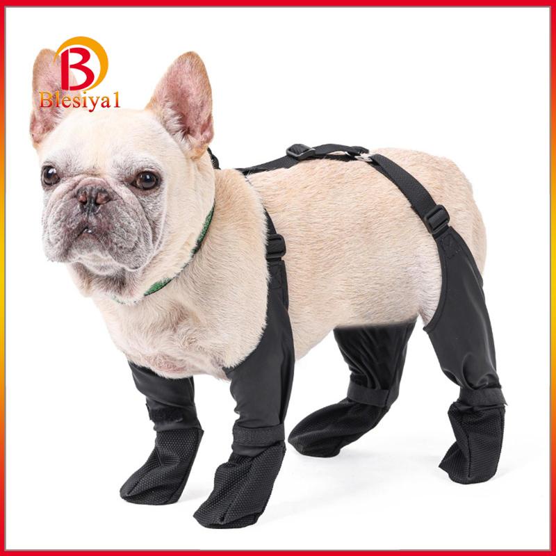 blesiya1-รองเท้าบูท-กันลื่น-น้ําหนักเบา-ระบายอากาศ-ทนทาน-สําหรับสัตว์เลี้ยง-สุนัข-วิ่ง-ใส่ในบ้าน-นอกบ้าน-ทุกฤดู