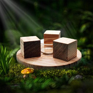 [Fenteer] เครื่องอุ่นกาน้ําชา 1 ชิ้น สําหรับห้องครัว
