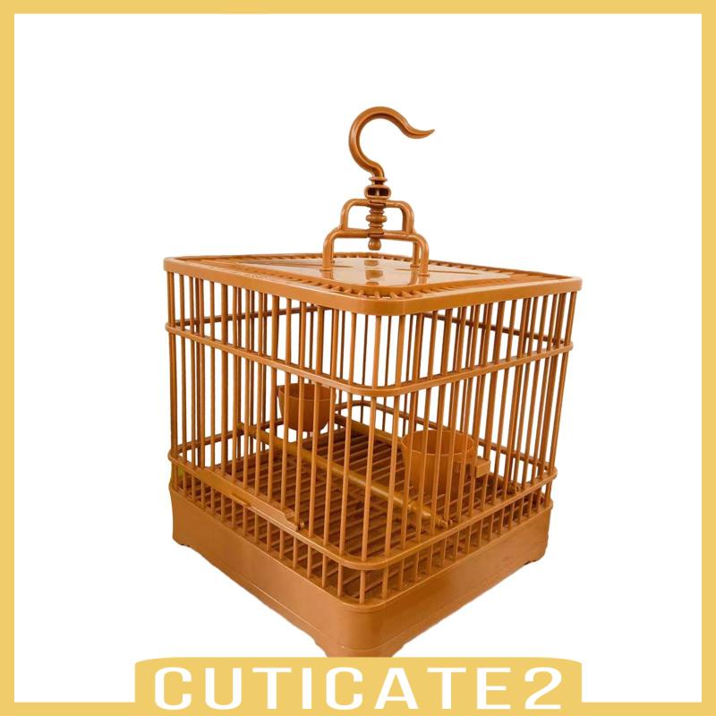 cuticate2-กรงนกขมิ้น-กรงนกขมิ้น-แอฟริกัน-สีเทา-สําหรับแขวนในร่ม