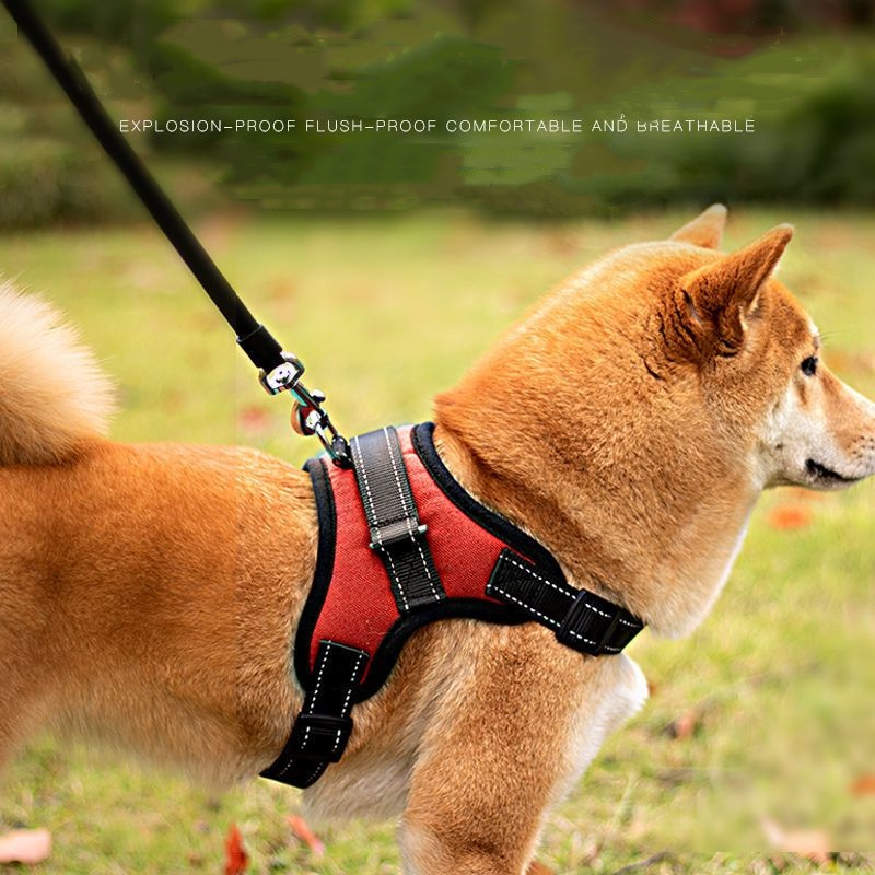 สายจูงสุนัข-สายรัดหน้าอก-แบบเสื้อกั๊ก-เชือกจูงสุนัข-ป้องกันการแตกหัก-ฟรีเชือกจูงสุนัข
