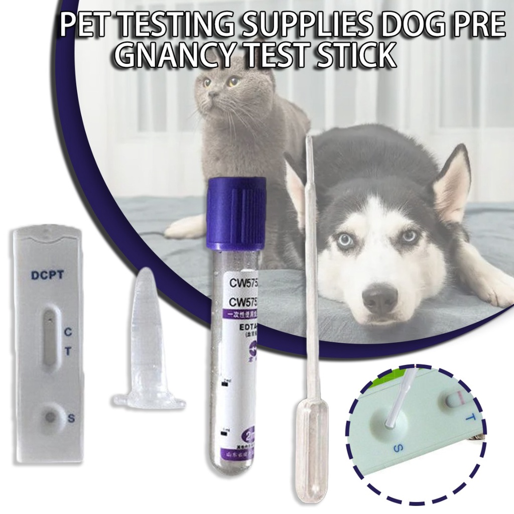 Pet Pregnancy Test Strip Dog Cat Pregnancy Test Card Canine Pregnancy Test Shopee Thailand