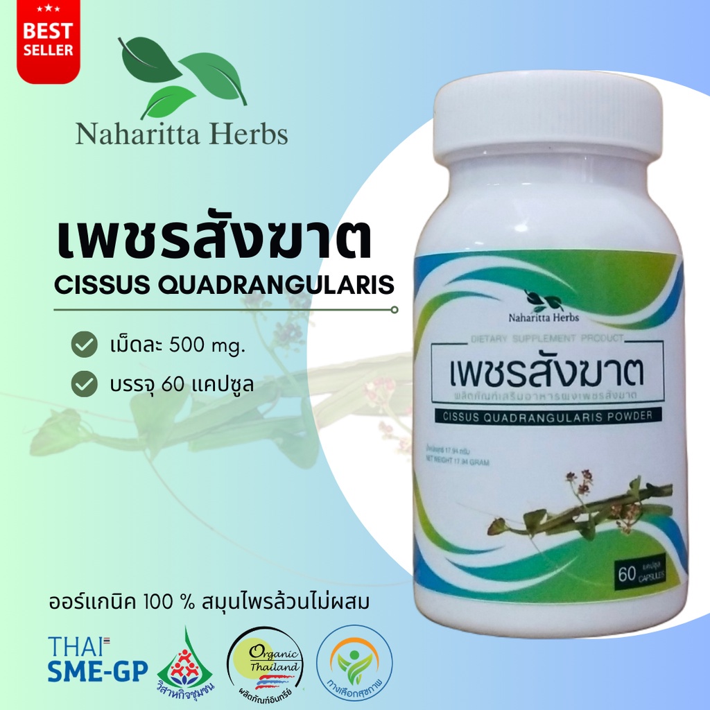 เพชรสังฆาต Cissus quadrangularis 100% 60cap. | Shopee Thailand