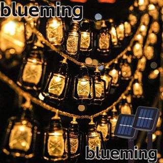 Blueming2 สายไฟหิ่งห้อย LED 30 ดวง พลังงานแสงอาทิตย์ กันน้ํา 8 โหมด ใช้ได้นาน แนวเรโทร 1 ชิ้น