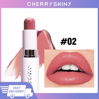Handaiyan Two-in-one Long Lasting Makeup Lipstick ลิปสติกกำมะหยี่แซนวิช 8 สี