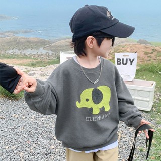 พร้อมส่ง ขายดี เสื้อกันหนาว ลายการ์ตูน สไตล์เกาหลี ญี่ปุ่น ฤดูใบไม้ผลิ ฤดูใบไม้ร่วง สําหรับเด็กผู้ชาย 2023