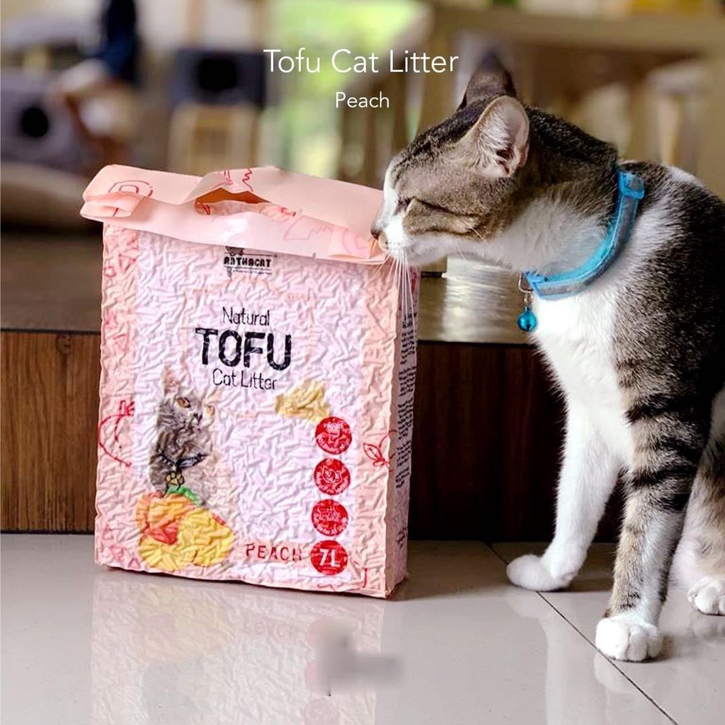 Arthacat Tofu Soya Clump Cat Litter ทรายแมว 7L Natural Lumpy Sand ...