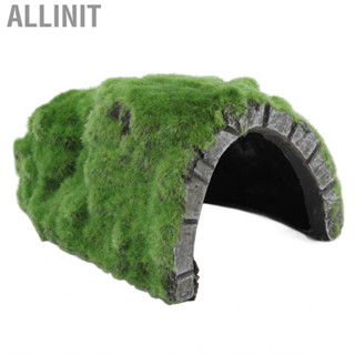 Allinit Reptile Rock Hide Cave Basking Terrace Tortoise Hideout For Lizards HG