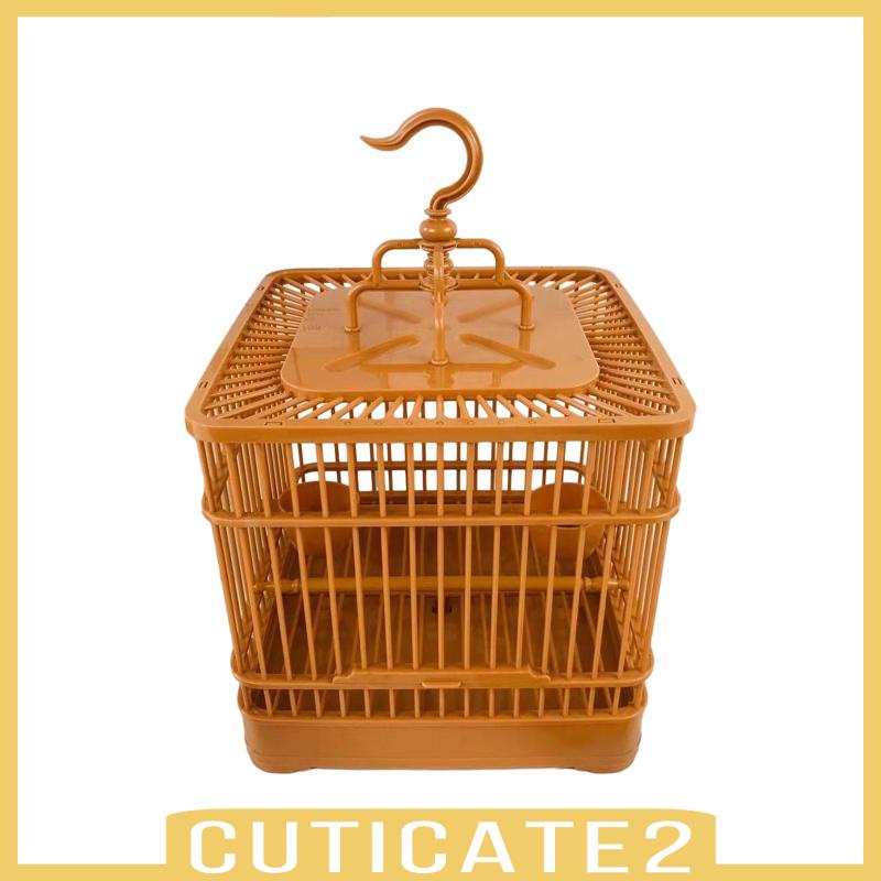 cuticate2-กรงนกขมิ้น-กรงนกขมิ้น-แอฟริกัน-สีเทา-สําหรับแขวนในร่ม