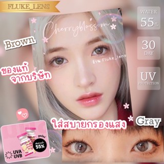 Kittykawaii ของแท้ 💕 Trinity brown gray 💕 (ขนาดมินิ) ใส่แล้วตาคมสวย ค่าอมน้ำ55%💦 ของแท้จากบริษัท Made in Korea 🇰🇷