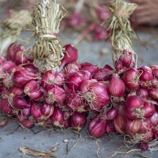 หอมแดงมัดจุก ศรีสะเกษแท้100% ตรงปก หัวสวย เนื้อแน่น คัดพิเศษ 500-1000 กรัม photo