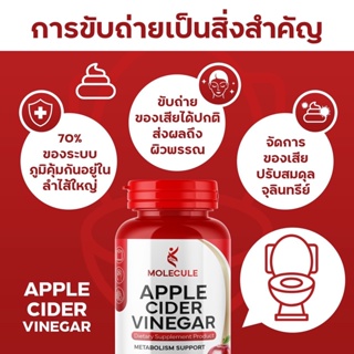 Apple Cider Vinegar 🍎 ทานแบบแคปซูลไม่ต้องเสี่ยงกับการกัดกล่อนผิวเคลือบฟันจากกรดของ ACV  ร้าน Beauty Club14🌈