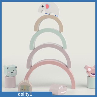 [Dolity1] จิ๊กซอว์ไม้ปริศนา สีรุ้ง ของเล่นเสริมการเรียนรู้ สําหรับเด็กก่อนวัยเรียน