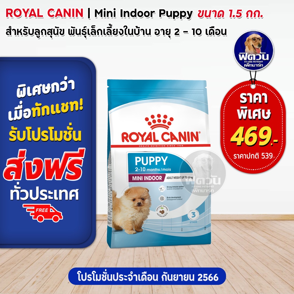 royal-canin-mini-indoor-puppy-ลูกสุนัข2-12-เดือน-พันธเล็ก-เลี้ยงในบ้าน-1-50-กิโลกรัม