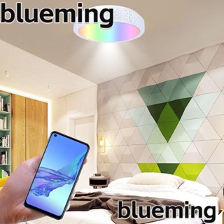 Blueming2 โคมไฟเพดาน สปอตไลท์ แบบแบน บางพิเศษ