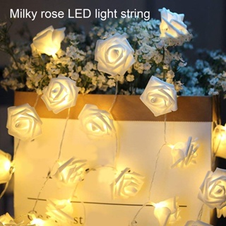 สายไฟ LED รูปดอกกุหลาบ สีขาว พร้อมกล่อง สําหรับตกแต่งปาร์ตี้ งานแต่งงาน