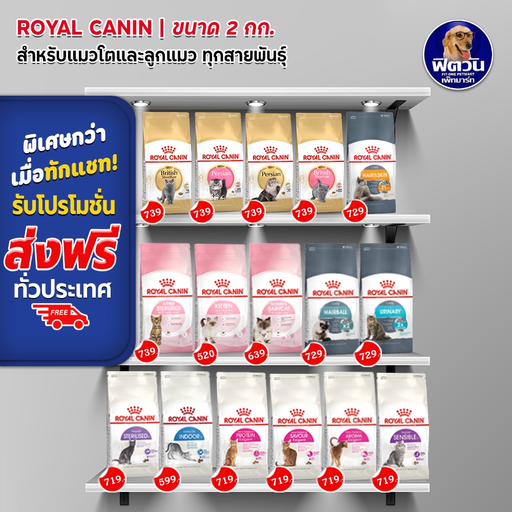 royal-canin-อาหารแมวทุกสายพันธุ์-ขนาด-2-กก