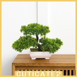 [Cuticate2] กระถางต้นไม้บอนไซประดิษฐ์ สไตล์ญี่ปุ่น สําหรับตกแต่งห้องนั่งเล่น ห้องน้ํา