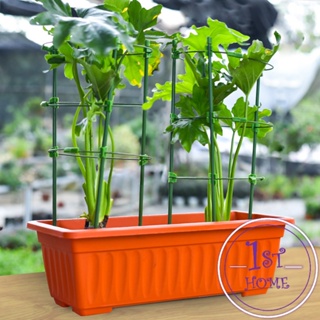 โครงเถาวัลย์ เสามะเขือเทศ โครงปลูก อุปกรณ์สำหรับพืชไม้เลื้อย 45cm 60cm plant trellis