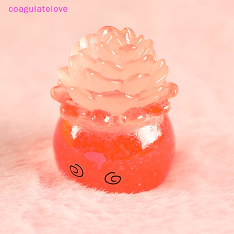 coagulatelove-กระบองเพชรจิ๋ว-เรืองแสง-สําหรับตกแต่งบ้านตุ๊กตา-ขายดี