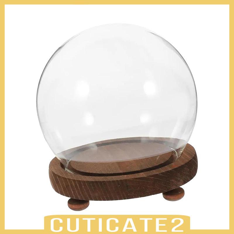 cuticate2-ฐานไม้เปล่า-แบบใส-สําหรับตกแต่งบ้าน-ห้องนั่งเล่น