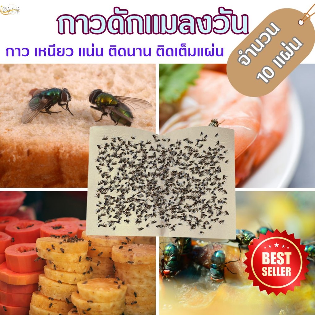 กับดักแตน แผ่นกาวเหนียวดักแมลงหวี่ตอมหน้าในฟาร์มไก่ วิธีกําจัดต่อ ส่งจากไทย Insect Trap 10 แผ่น สำหรับไร่นา
