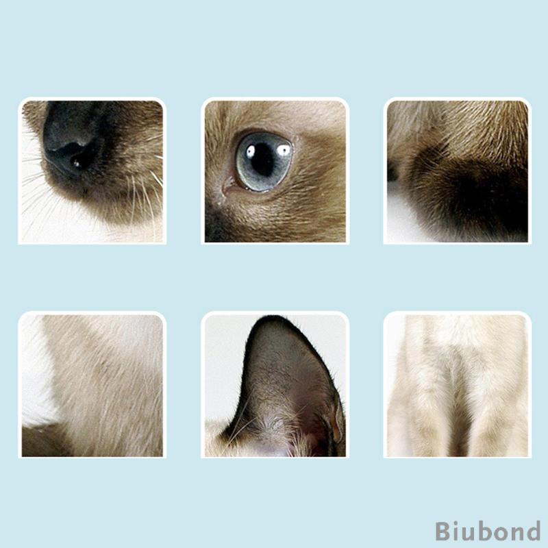 biubond-ถุงมือเช็ดทําความสะอาด-อเนกประสงค์-แบบใช้แล้วทิ้ง-สําหรับสัตว์เลี้ยง-สุนัข-6-ชิ้น