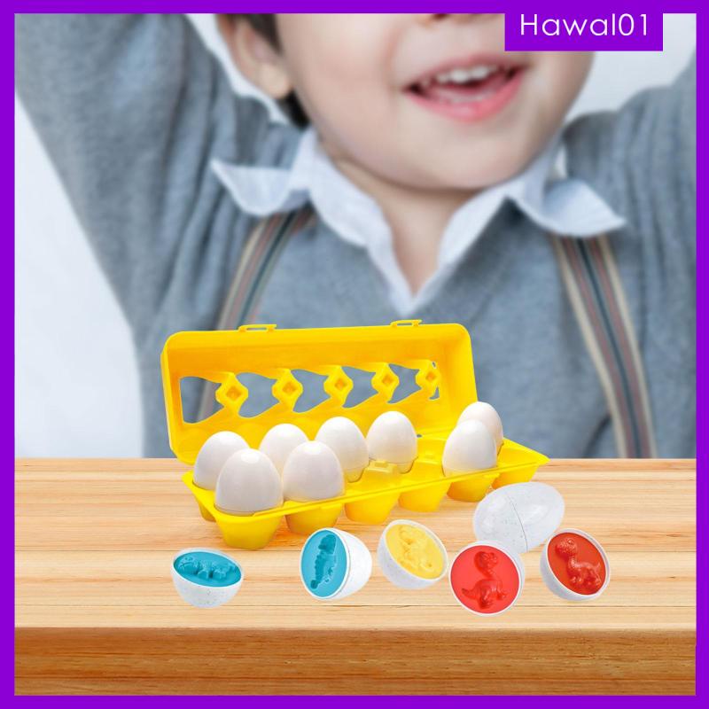 [Hawal] ไข่จับคู่ ของเล่นเสริมการเรียนรู้ สําหรับเด็กก่อนวัยเรียน 3 4 5 ...