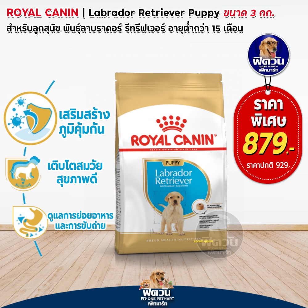 royal-canin-labrador-puppy-ลูกสุนัข-3กก