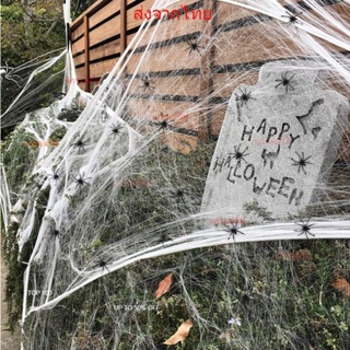 หยากไย่ ใยแมงมุม ใยแมงมุมปลอม ใยแมงมุมสำเร็จรูป  ของตกแต่งฮาโลวีน Halloween Fake Spider Web Cobweb Stretchable ส่งจากกทม