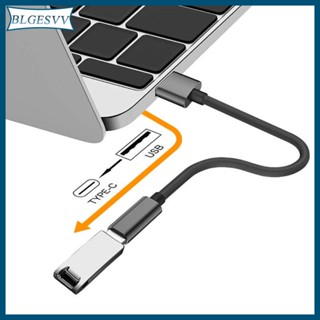 Blg สายเคเบิลแปลงพาวเวอร์ซัพพลาย USB2 0 Male to Type C Female