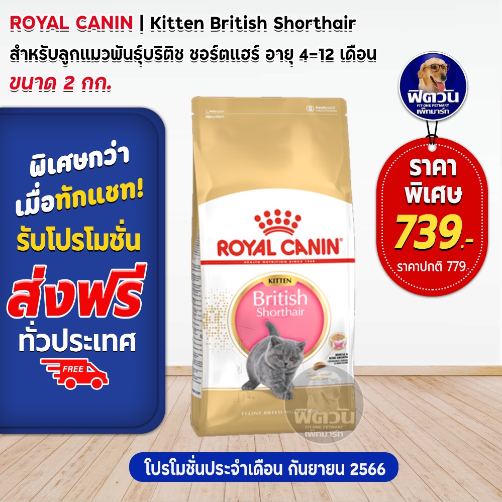 royal-canin-british-short-hair-kitten-อาหารลูกแมว4-12-เดือน-สายพันธุ์บริติชชอร์ตแฮร์-2-kg