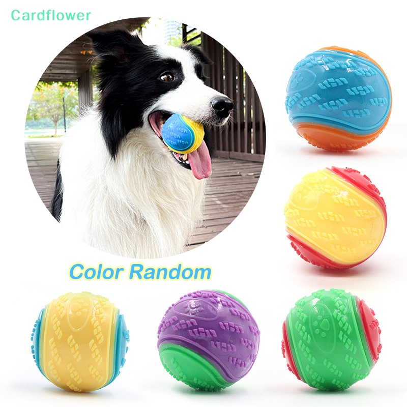 lt-cardflower-gt-ของเล่นลูกบอลยาง-ขนาดเล็ก-กันกัด-ทําความสะอาดฟัน-สําหรับสัตว์เลี้ยง-สุนัข