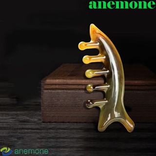 Anemone หวีนวดร่างกาย เรซิน ป้องกันไฟฟ้าสถิตย์ การไหลเวียนโลหิต สําหรับผู้ชาย