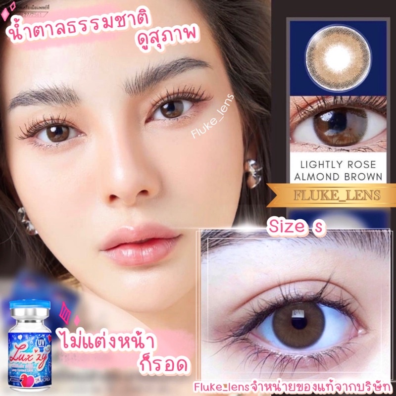 คอนแทคเลนส์-mini-lightly-rose-almond-ของแท้-ใส่สบายตา-luxzylens-คอนแทคเลนส์เกาหลี