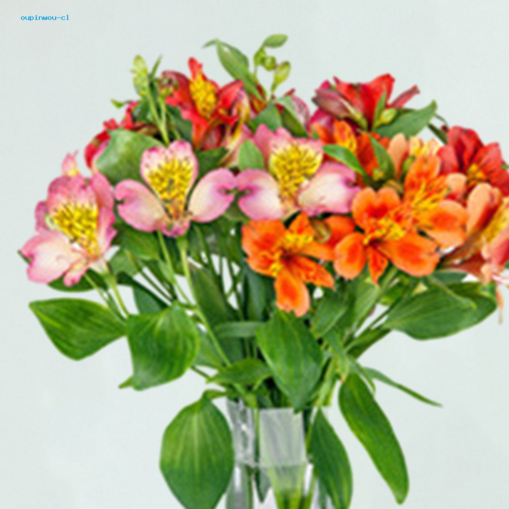 oupinwou-สติกเกอร์ไวนิล-ลายดอกไม้-สวยงาม-กันน้ํา-มีกาวในตัว-สําหรับติดตกแต่งผนังบ้าน-ห้องน้ํา-ผู้ซื้อเอเชียตะวันออกเฉียงใต้
