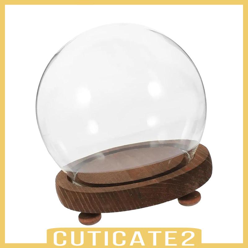 cuticate2-ฐานไม้เปล่า-แบบใส-สําหรับตกแต่งบ้าน-ห้องนั่งเล่น