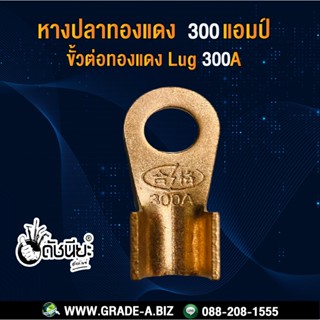 1อัน หางปลาทองแดงแท้ 300แอมป์ พานา , Lug 300A-Φ12 (copper ) δ=2mm,หางปลา 300A Pana 300A ทองแดง