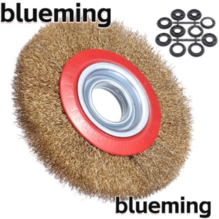Blueming2 แปรงลวด 6 นิ้ว ใช้งานง่าย พร้อมแหวนอะแดปเตอร์ 10 ชิ้น สําหรับขัดลวดละเอียด
