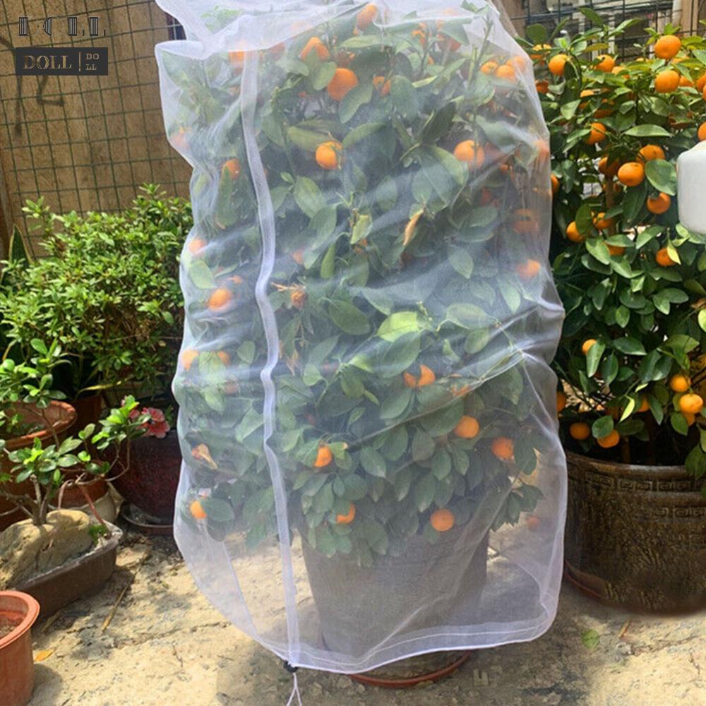 new-convenient-and-effective-plant-crop-net-keep-your-garden-healthy-and-safe